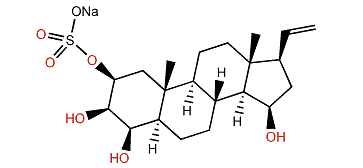 Ptilosteroid C